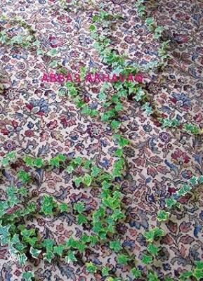 Abbas Akhavan - Skira