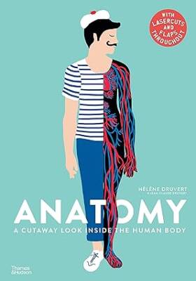 Anatomy: A Cutaway Look Inside the Human Body - Thames and Hudson Ltd