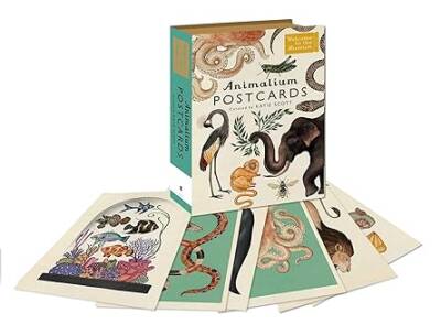 Animalium Postcards - Bonnier