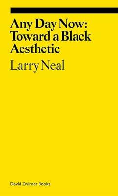 Any Day Now: Toward a Black Aesthetic - David Zwirner Books