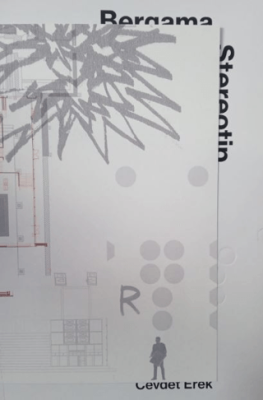 Bergama Stereotip (TR) - Arter