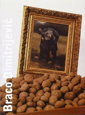 Braco Dimitrijevic : Triptychos Post Historicus - Ikon Gallery Ltd