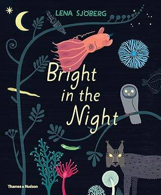 Bright in the Night - Thames and Hudson Ltd