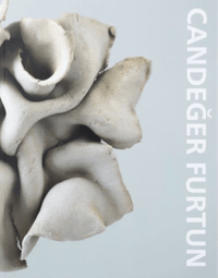 Candeğer Furtun (ENG) - Arter