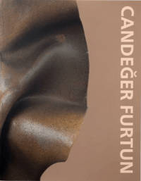 Candeğer Furtun (TR) - Arter