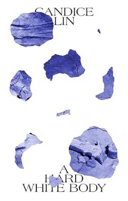 Candice Lin, A Hard White Body - Reva and David Logan Center for the Arts