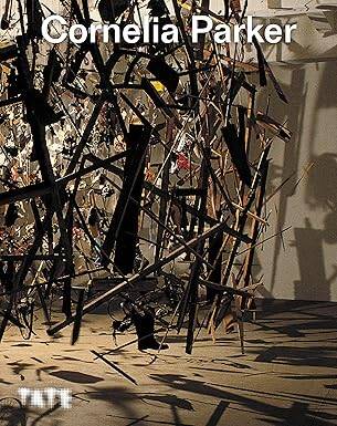 Cornelia Parker: Exploring Her Art and Craft - Tate Publishing