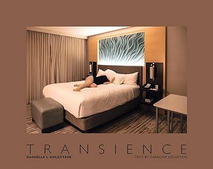 Danielle L. Goldstein: Transience - 1