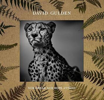 David Gulden: Nor Dread Nor Hope Attend - Damiani