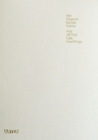 HerDüşeninKanadıYoktur-Not All That Falls Has Wing - Arter