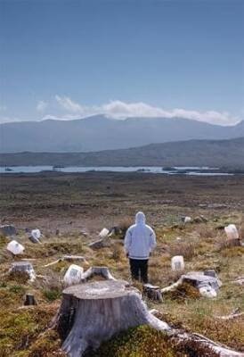 John Akomfrah : Purple (Curve) - Barbican Art Gallery
