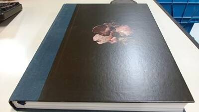 Mat Collishaw - Blain|Southern