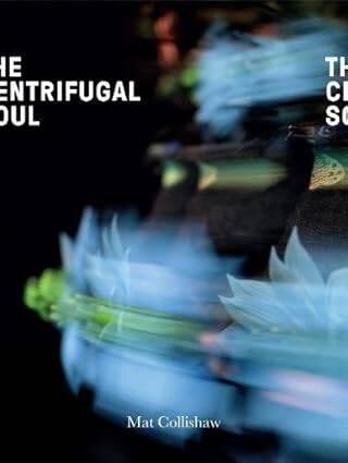 Mat Collishaw : The Centrifugal Soul - 1