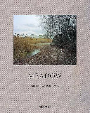Nicholas Pollack : Meadow - Hirmer Verlag