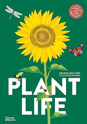 Plant Life - 1