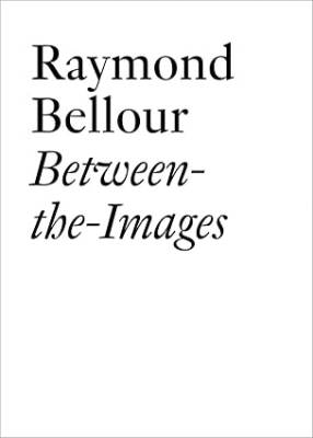 Raymond Bellour : Between the Images - Jrp Ringier