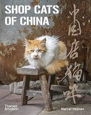 Shop Cats of China - Thames and Hudson Ltd