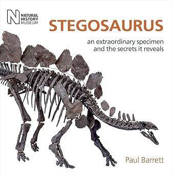Stegosaurus - 1