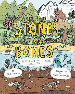Stones and Bones - Cicada Books
