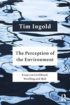 The Perception of the Environment - Routledge