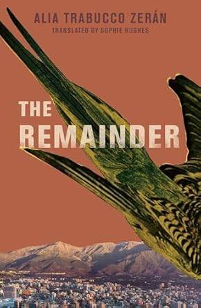 The Remainder - 1