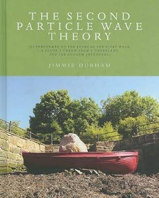 The Second Particle Wave Theory : Jimmie Durham - 1