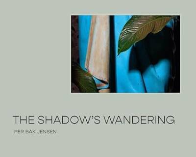 The Shadows Wandering - Strandberg Publishing