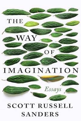 The Way Of Imagination : Essays - Counterpoint
