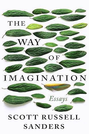 The Way Of Imagination : Essays - 1