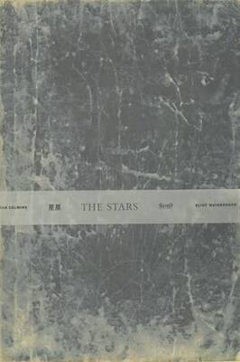Vija Celmins: The Stars - Museum Of Modern Art