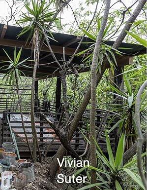 Vivian Suter - Hatje Cantz Verlag