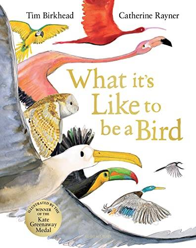 What its Like to be a Bird - 1