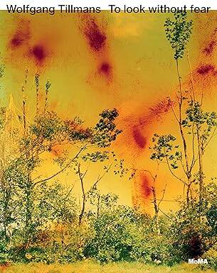 Wolfgang Tillmans: To look without fear - The Museum of Modern Art