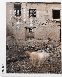 Yet Another Story About the Fall - Arter